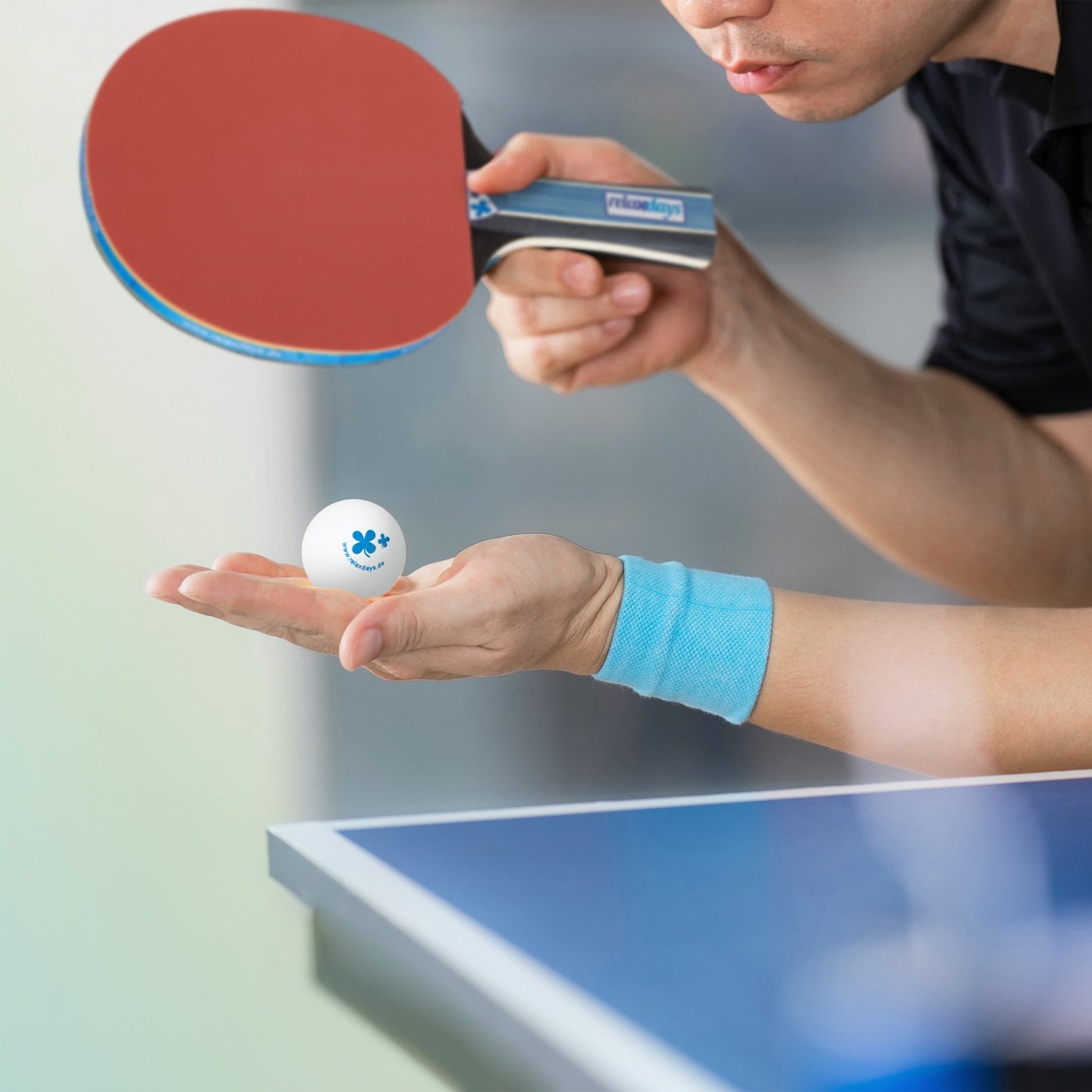 Ping pong racket set with net