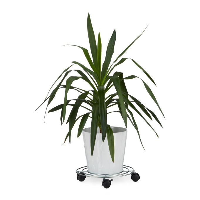 Plant Roller with Brake
