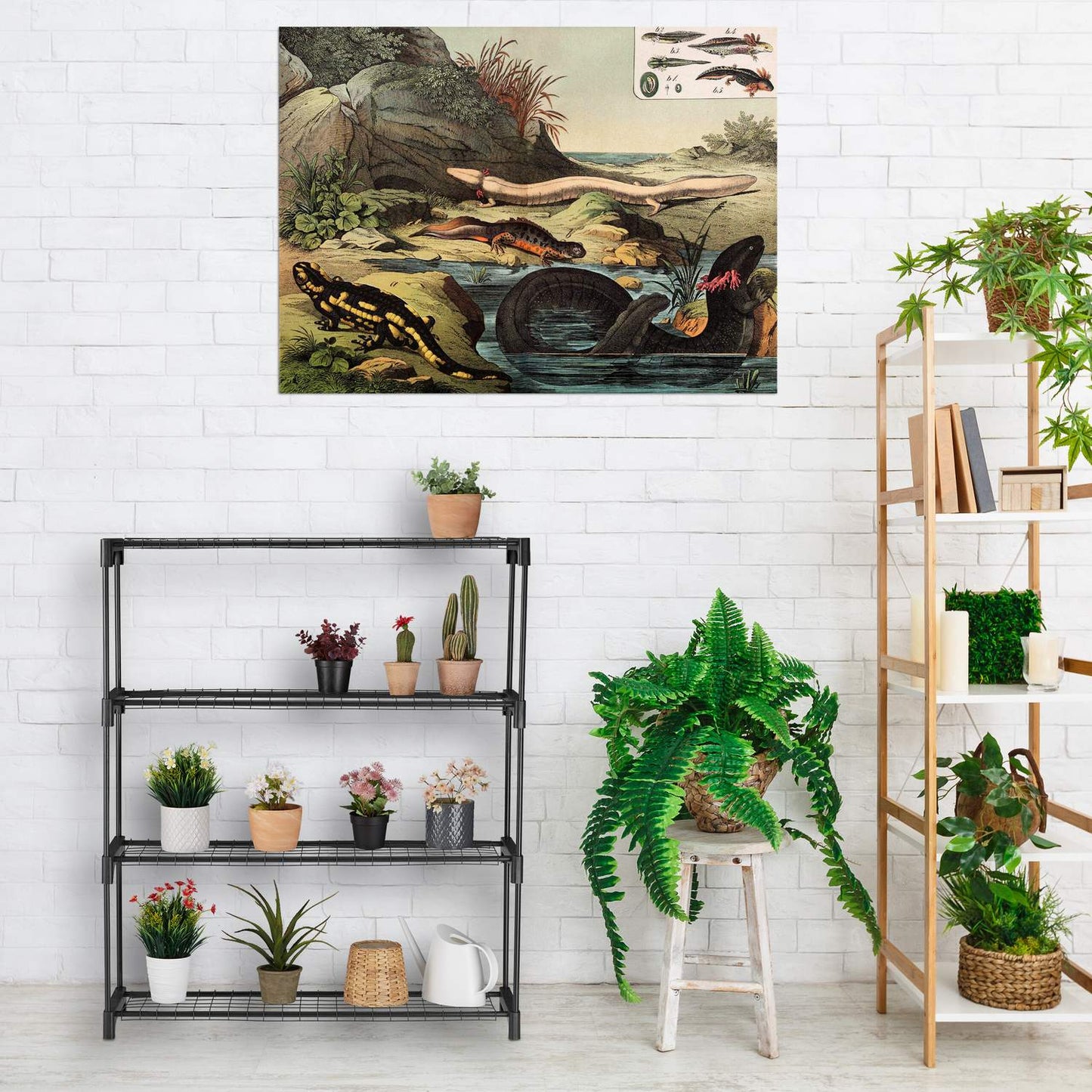 Plant shelf with 4 shelves