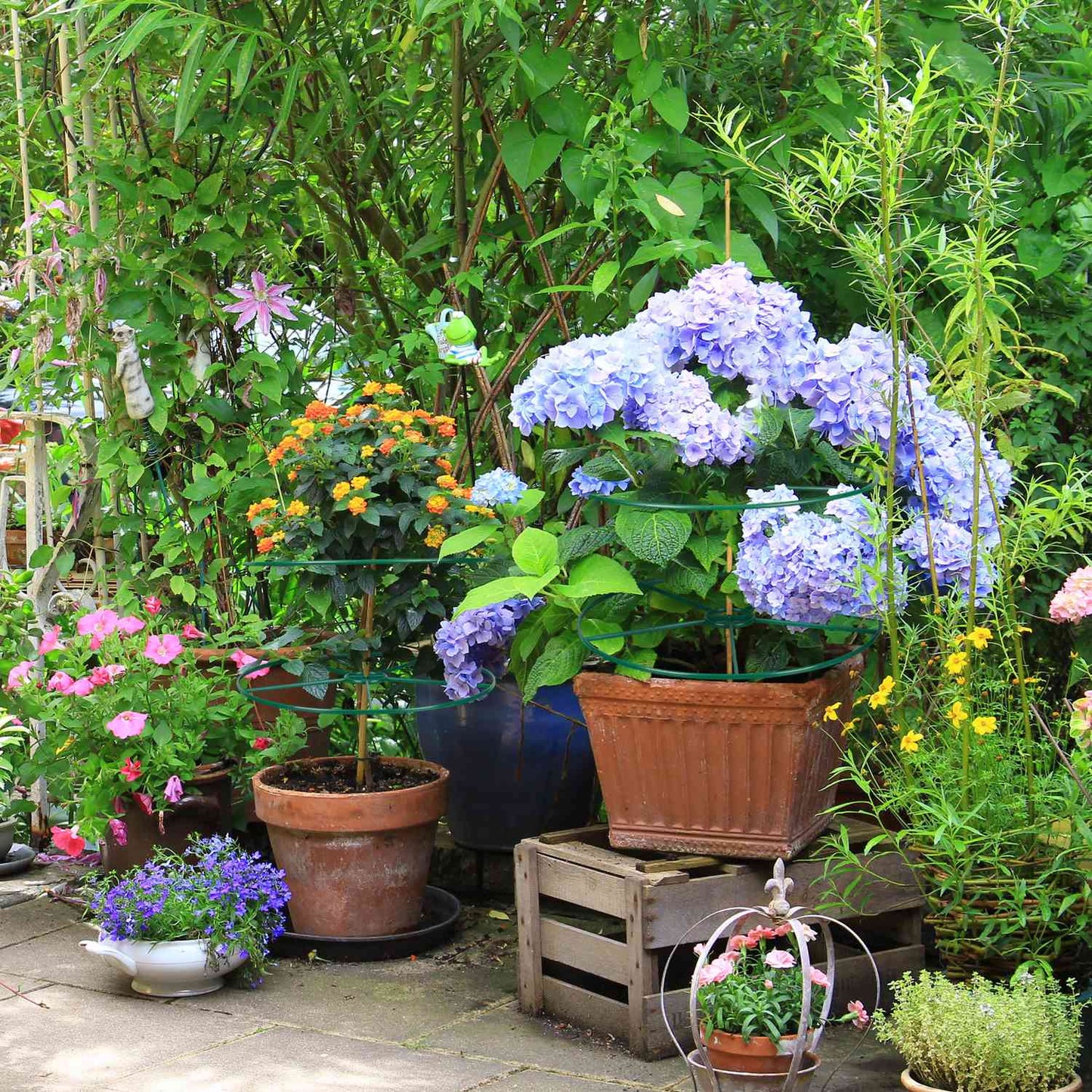 Plant support 39 cm set of 6