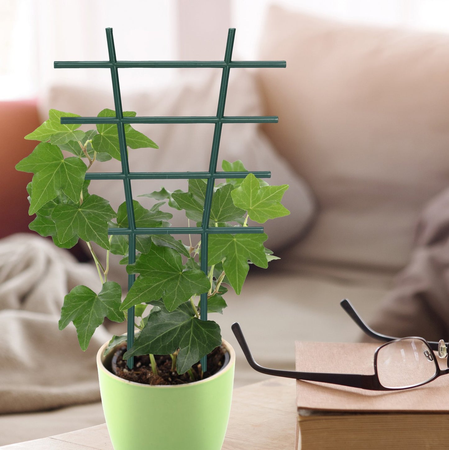 Plant support set of 12 pcs