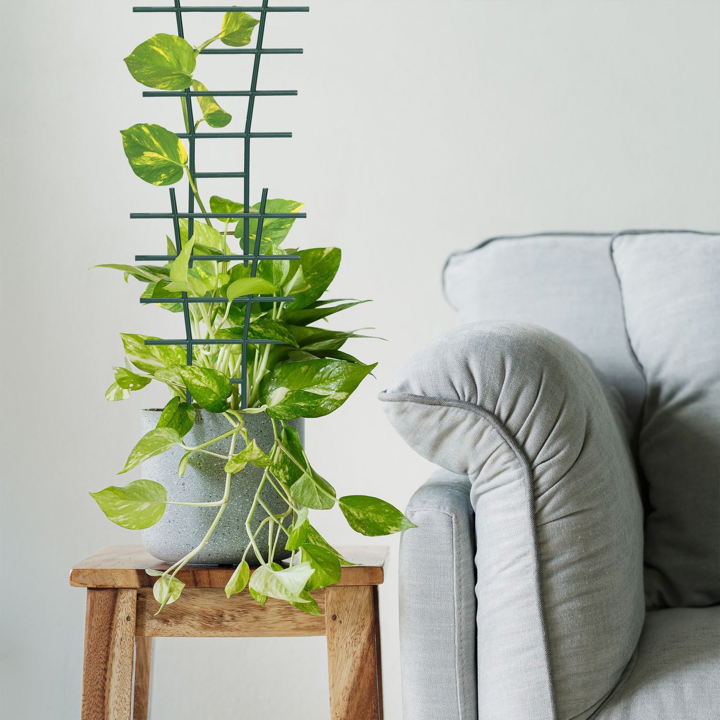 Plant support set of 12 pcs