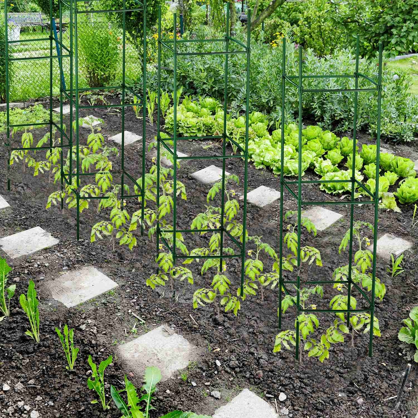 Plant support set of 4,120 cm