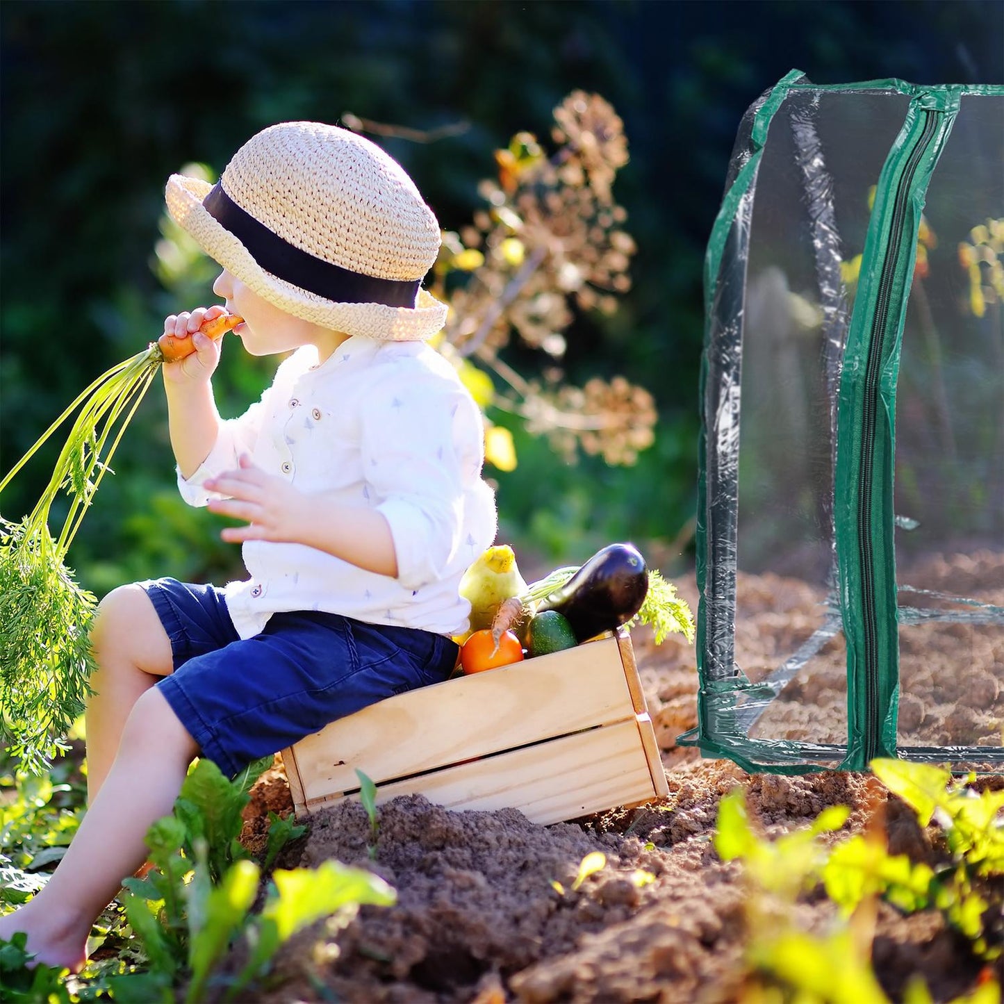 Plastic garden greenhouse tent