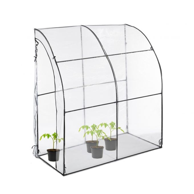 Plastic tomato greenhouse