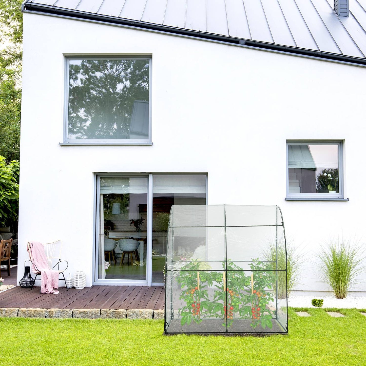 Plastic tomato greenhouse