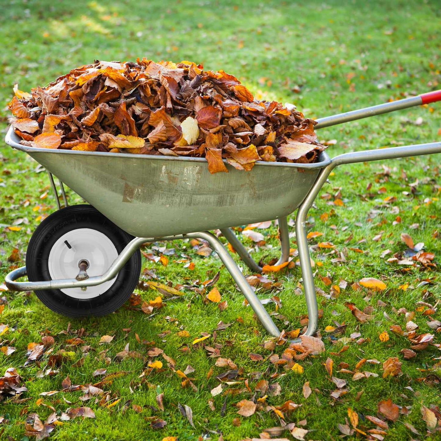 Pneumatic wheelbarrow wheel 4.80 4.00-8