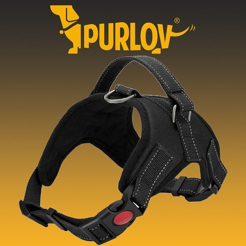 Pressure-free dog harness S
