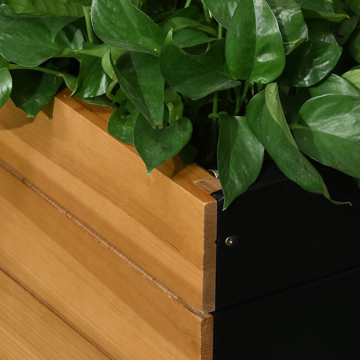 Raised garden bed with self-watering boxes, wood, brown