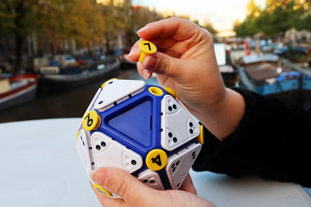 Recent Toys Logic Game Icosoku
