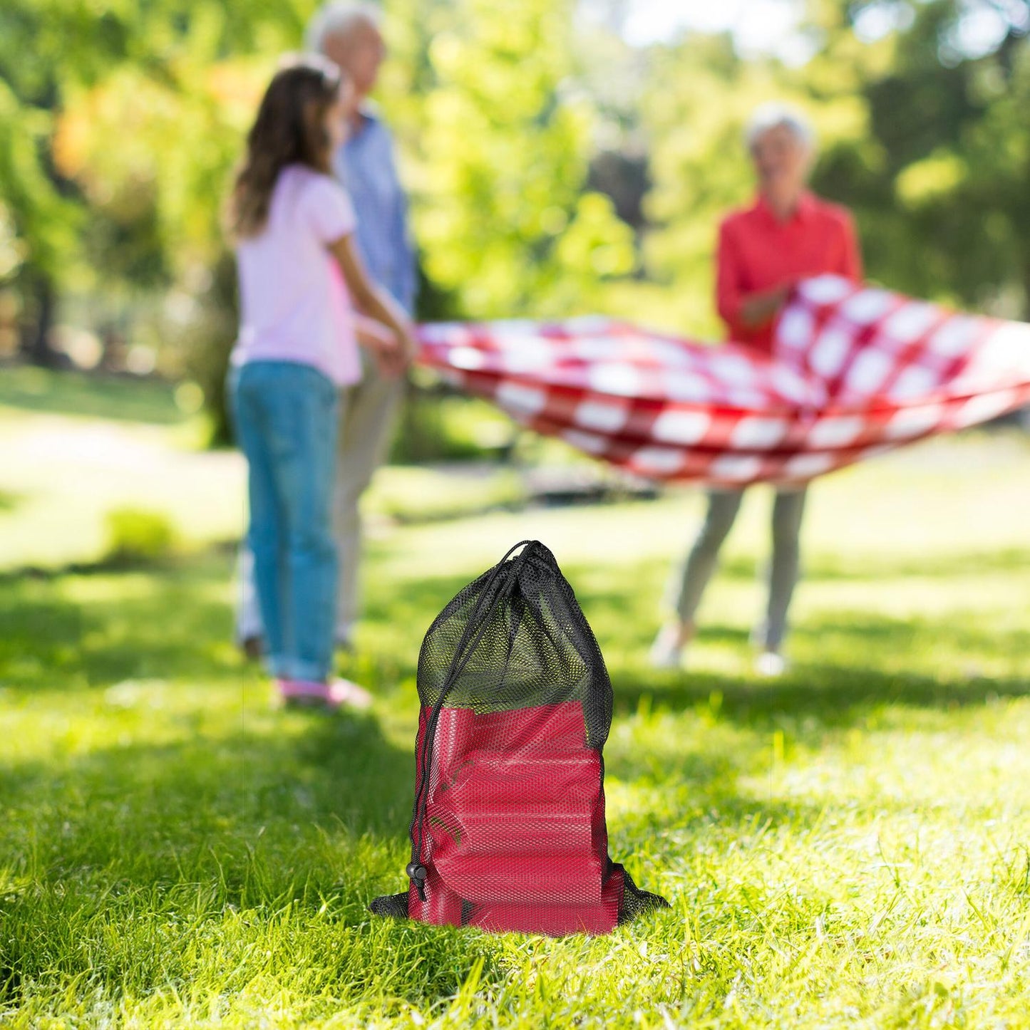 Red cube game with bag