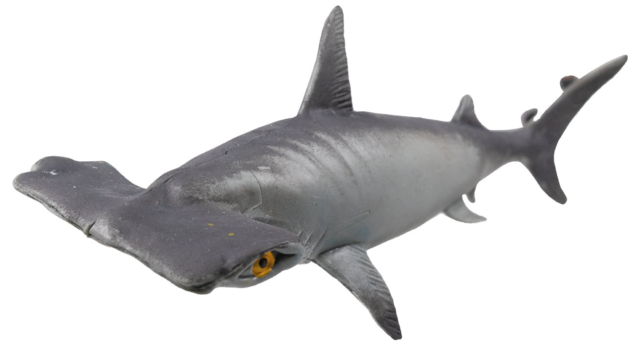 Rep Pals, Hammerhead Shark