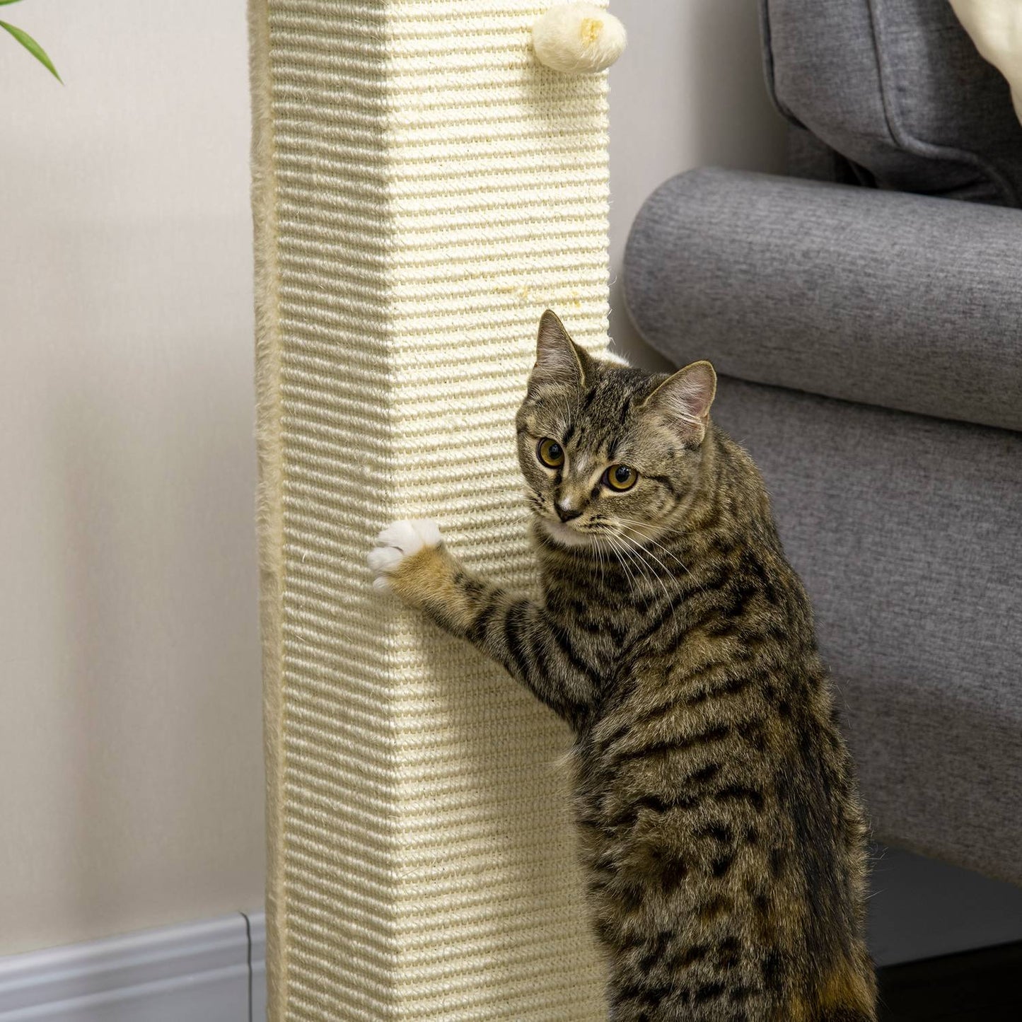 Cat Scratching Post 80cm - Sisal Rope, Play Ball, Oak/Cream