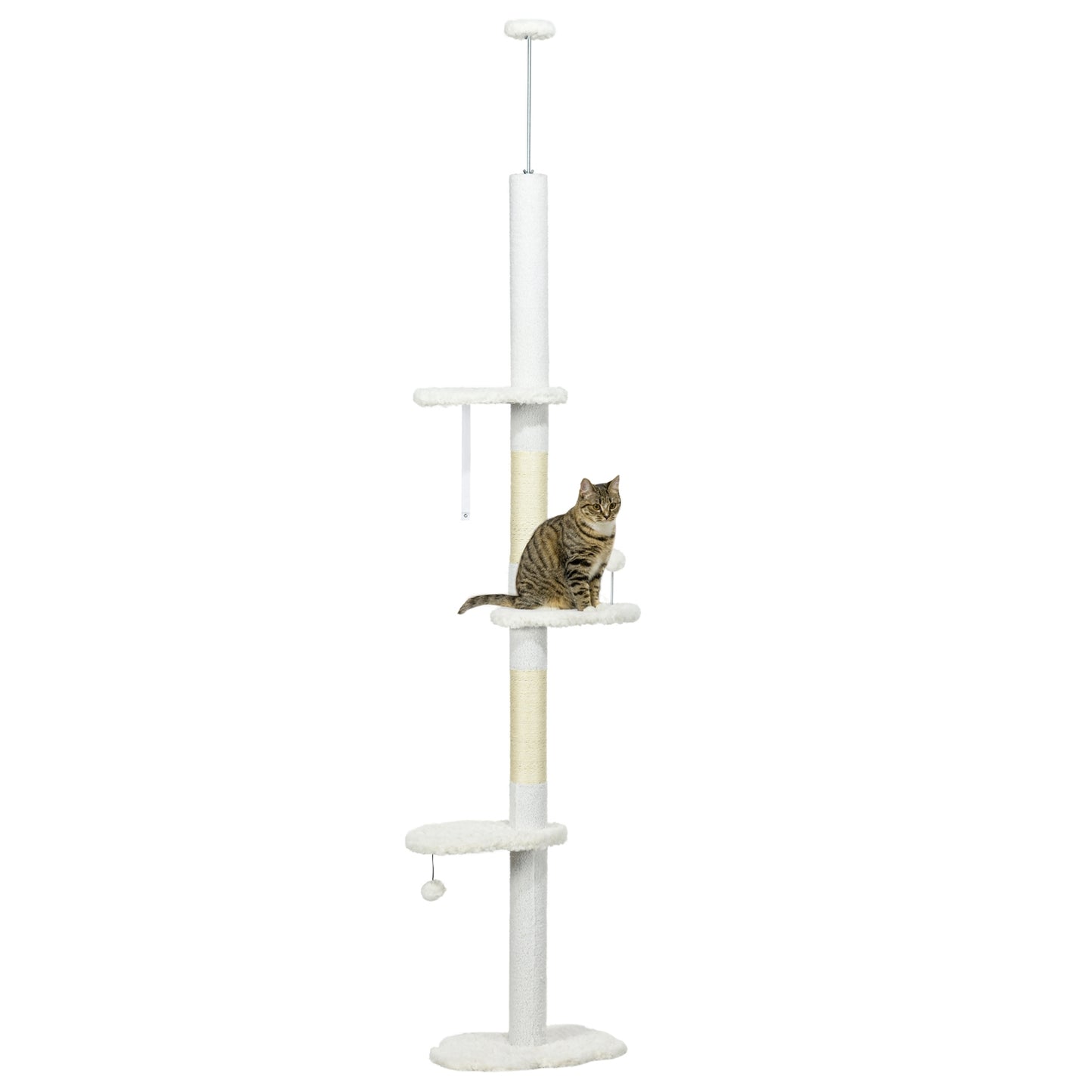 Cat tree with high ceiling with hammock and climbing ladder