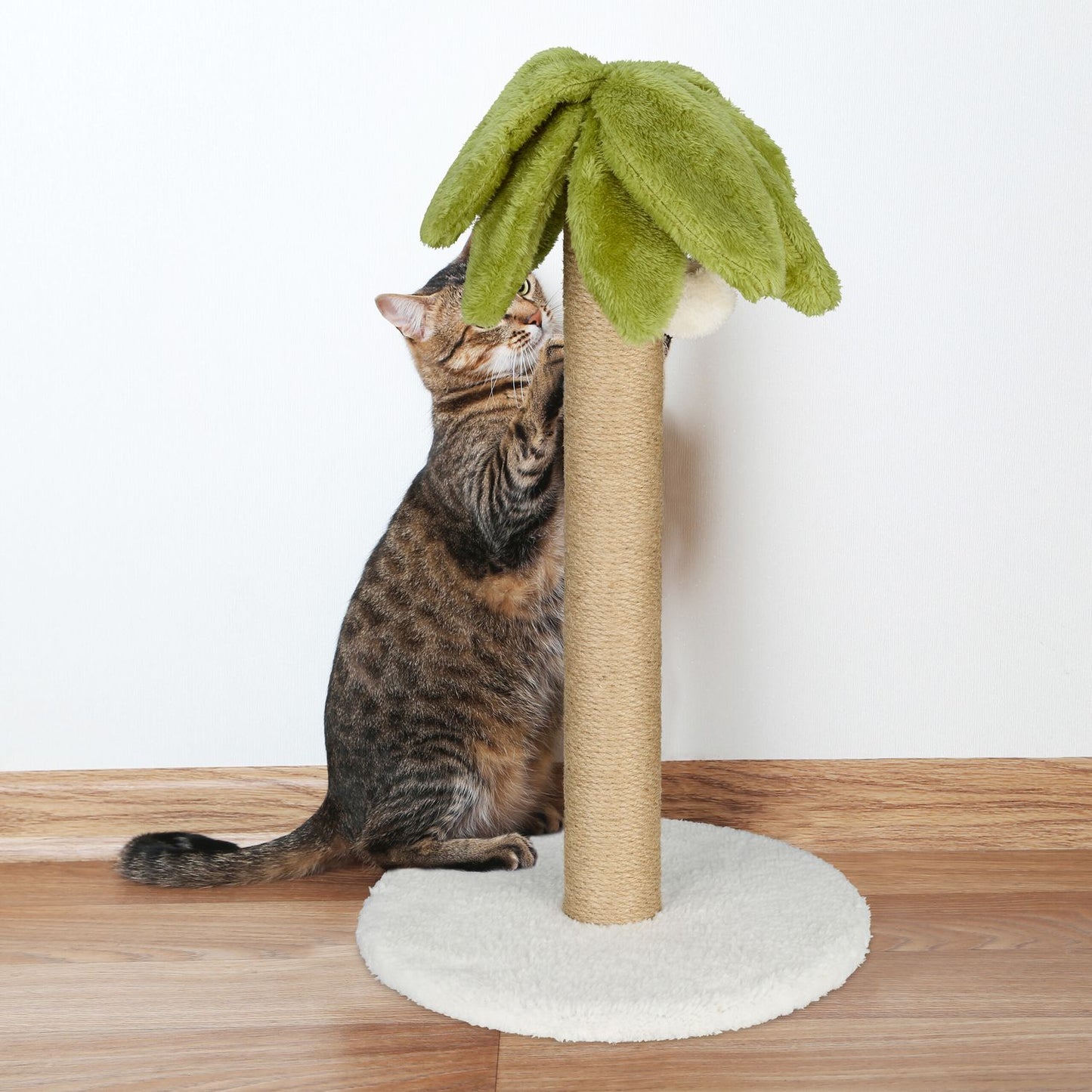 Scratching board palm
