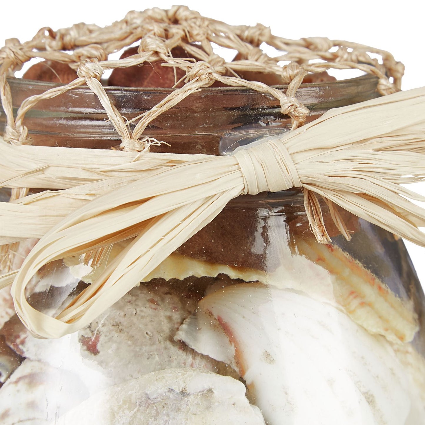 Seashell Jar Set of 3