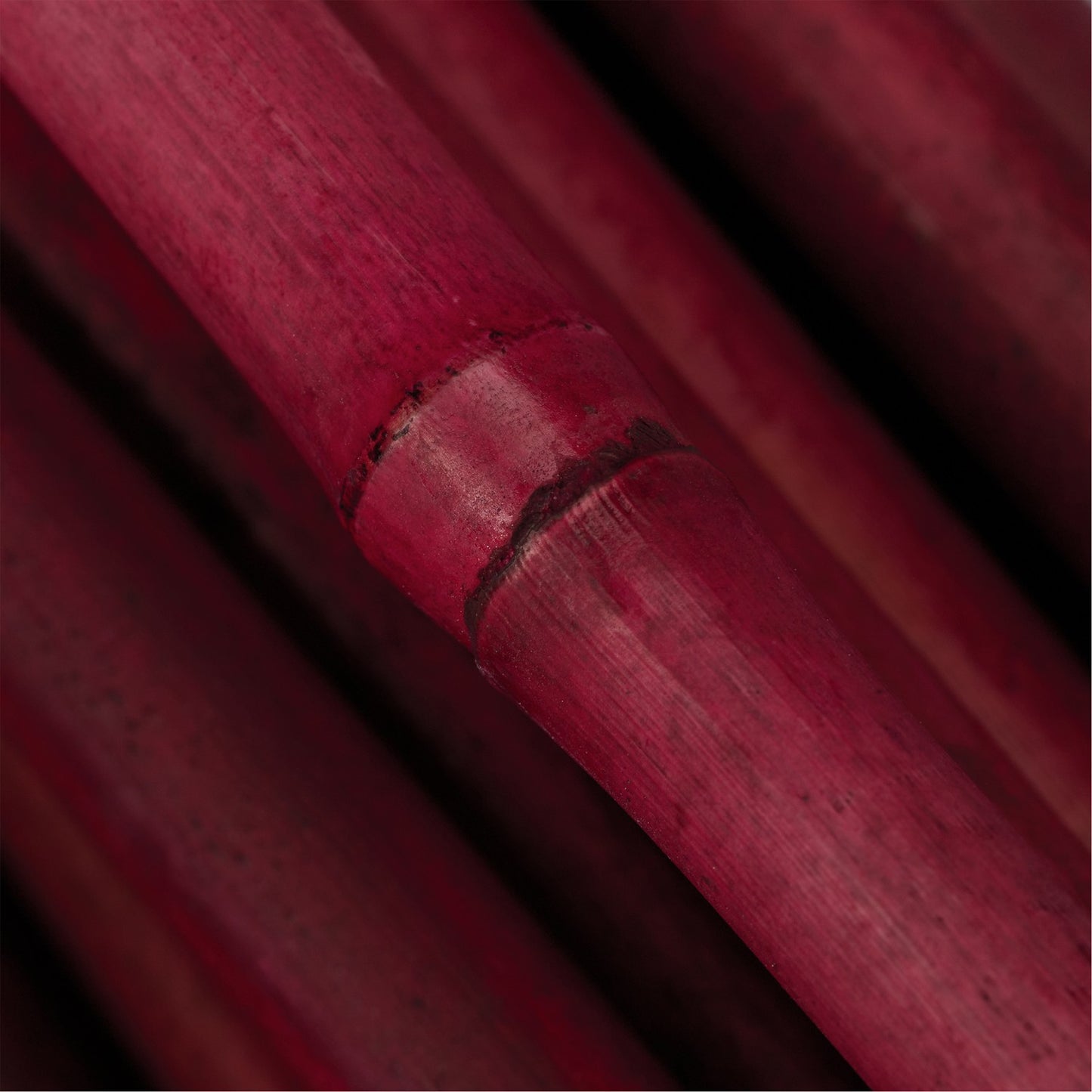 Set of 25 Red Bamboo Canes 120 cm