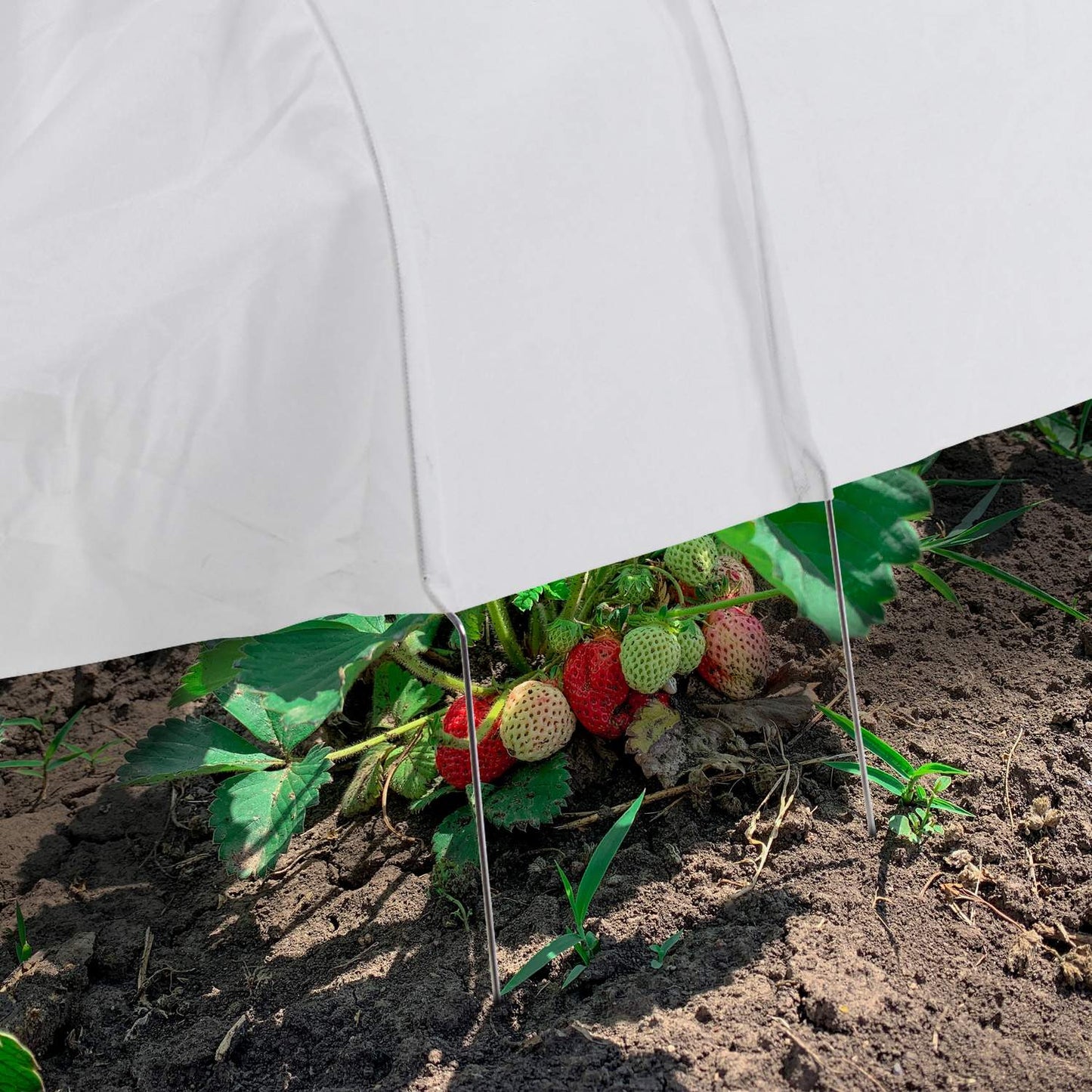 Set of 2 PVC Grow Tunnels 3.4 m