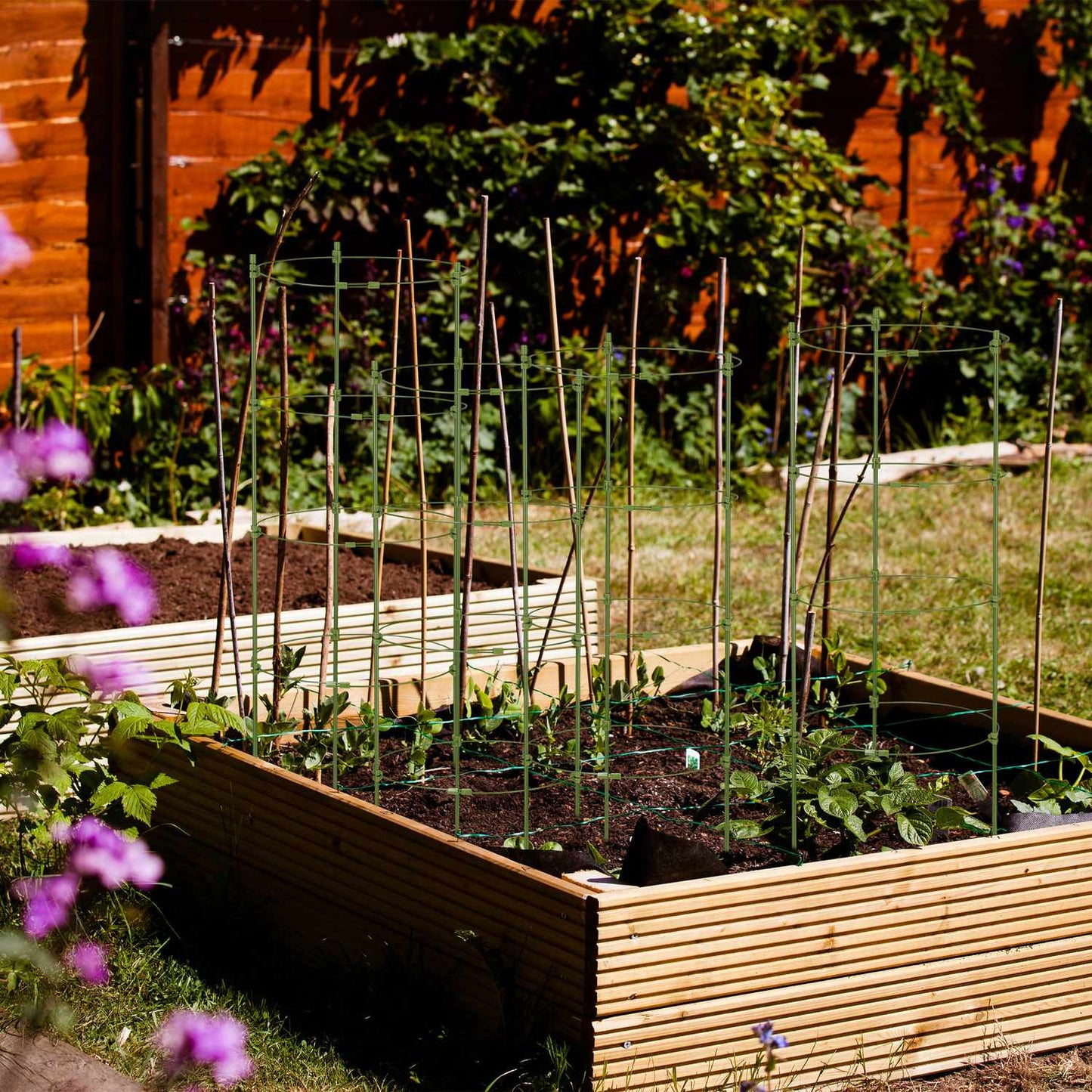Set of 5 Round Tomato Trellises, 90 cm