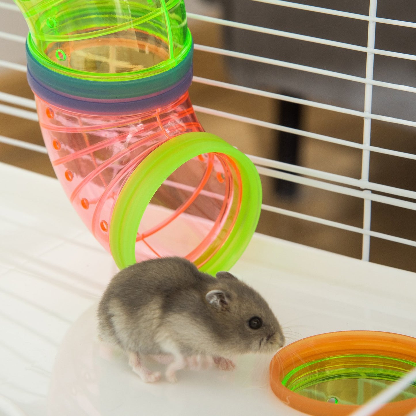 Small animal cage with ramp, running wheels, 59x36x69 cm