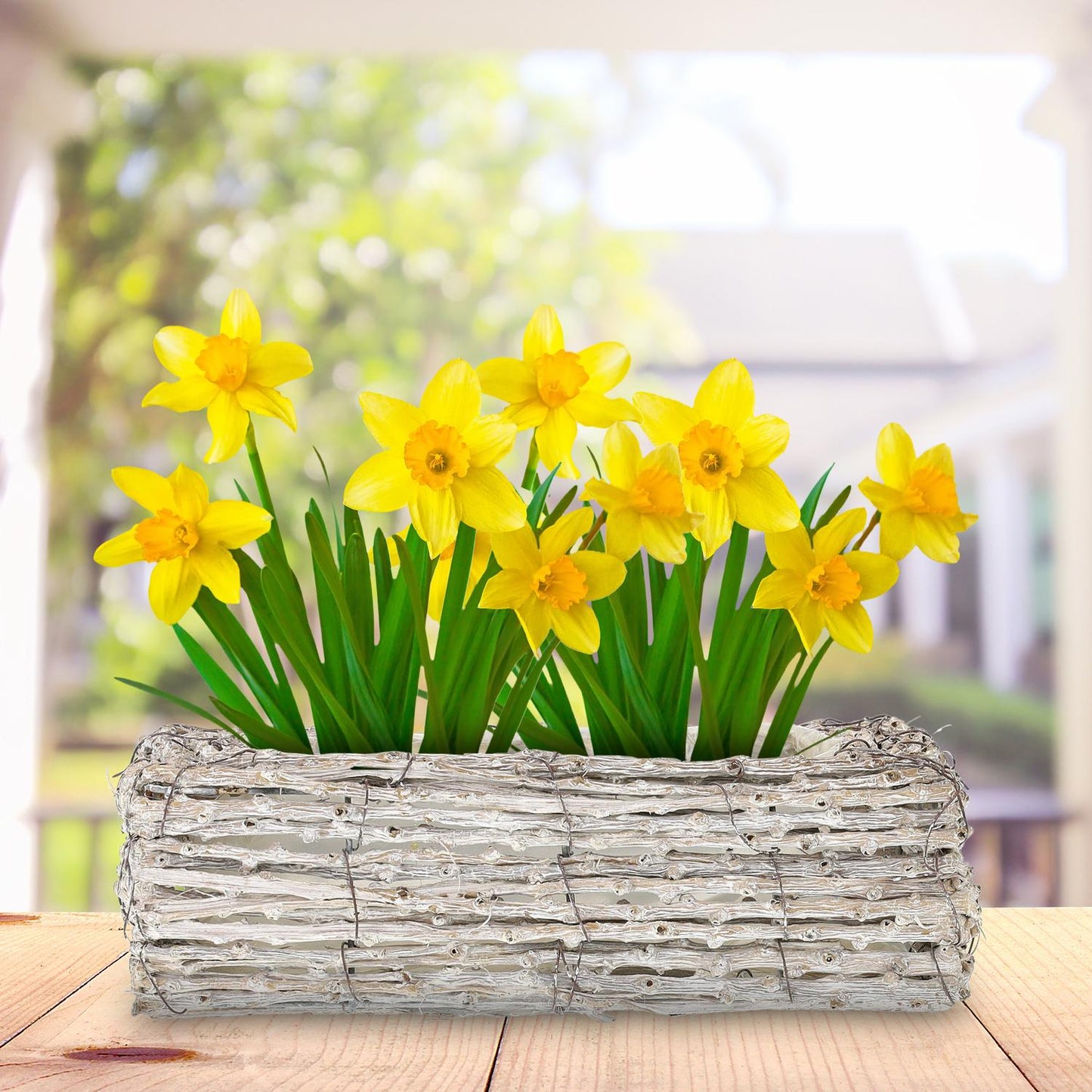 Square flower pot - set of 2