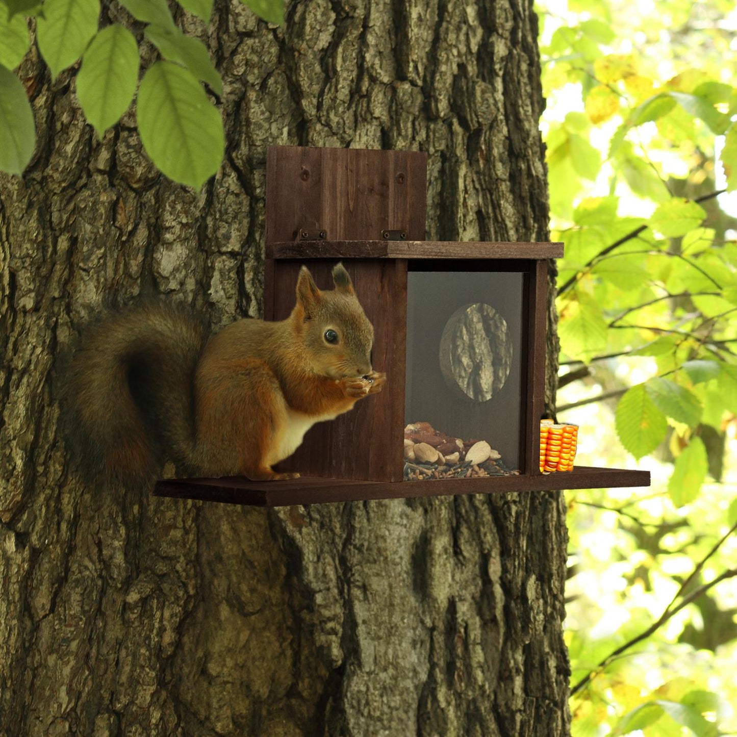 Squirrel feeder with 2 inputs