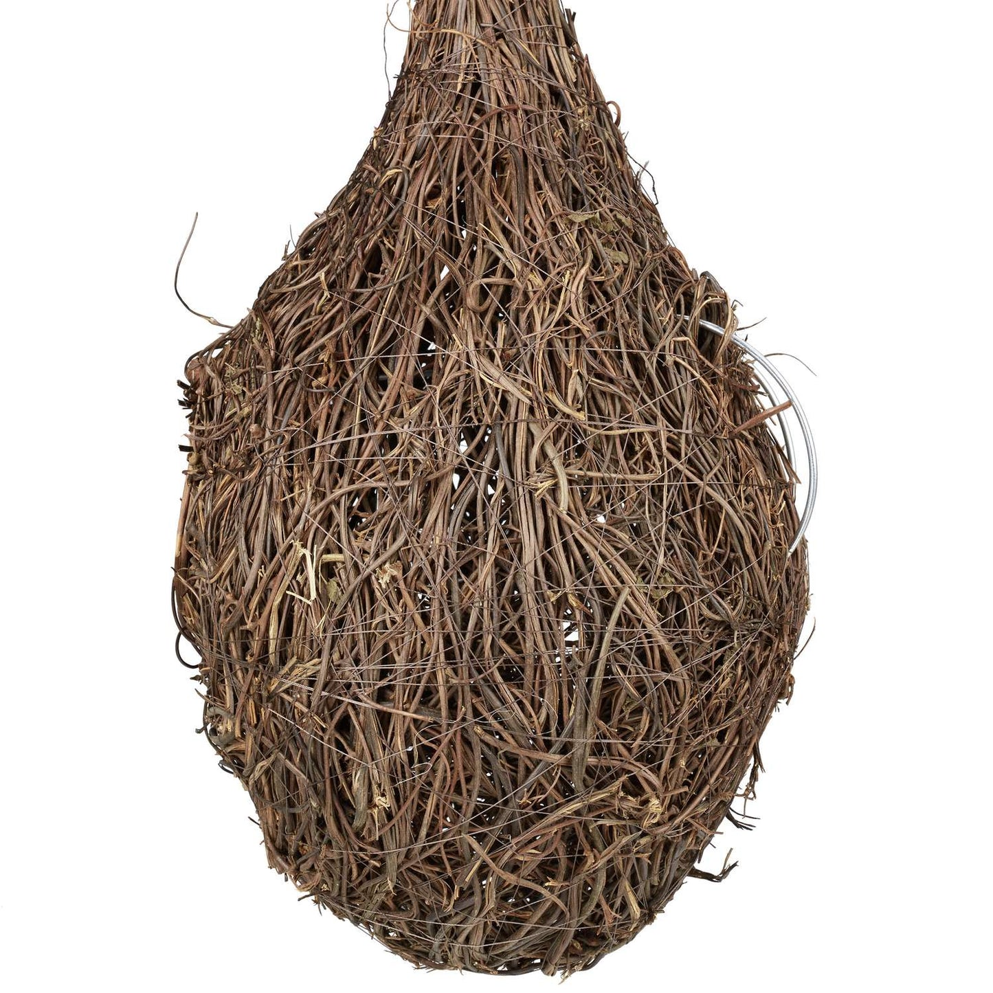 Tear Shaped Bird Nest