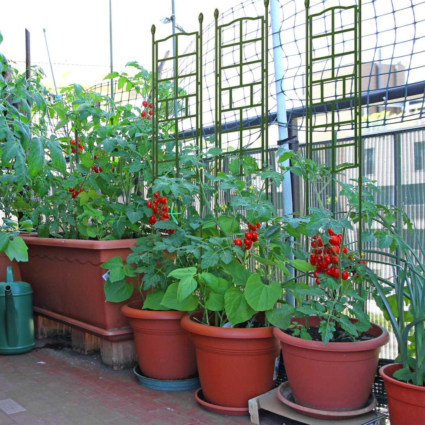 Trellis set of 3 124 cm