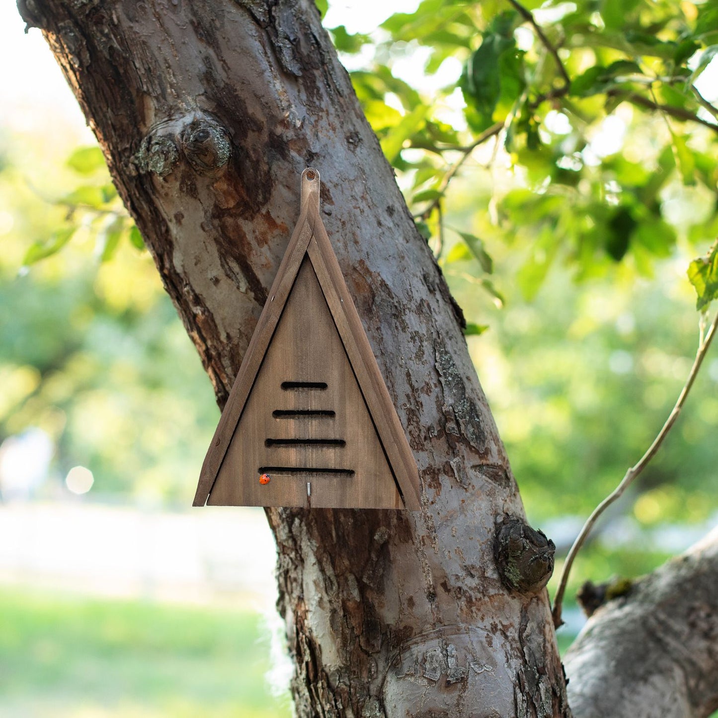 Triangular ladybug house