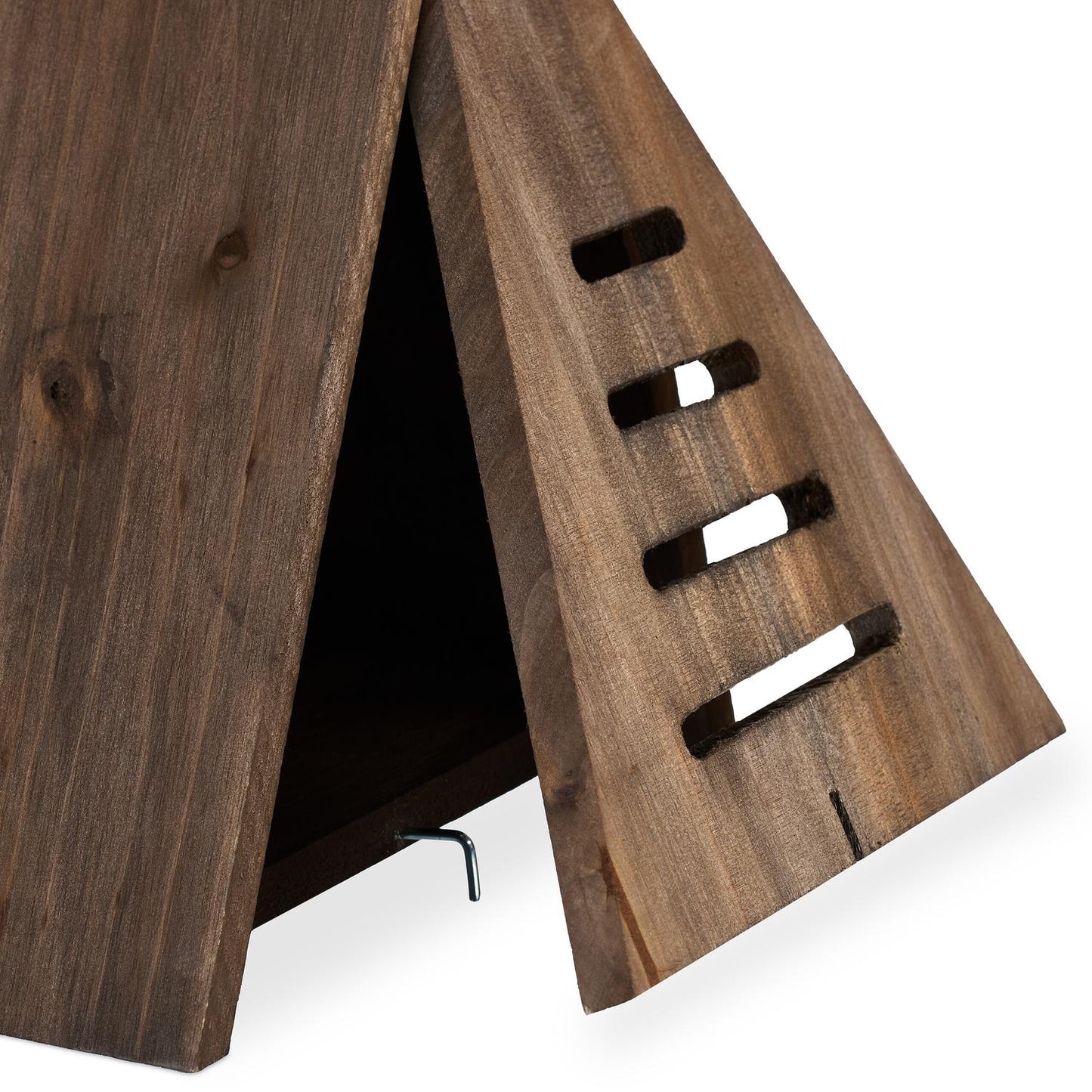 Triangular ladybug house