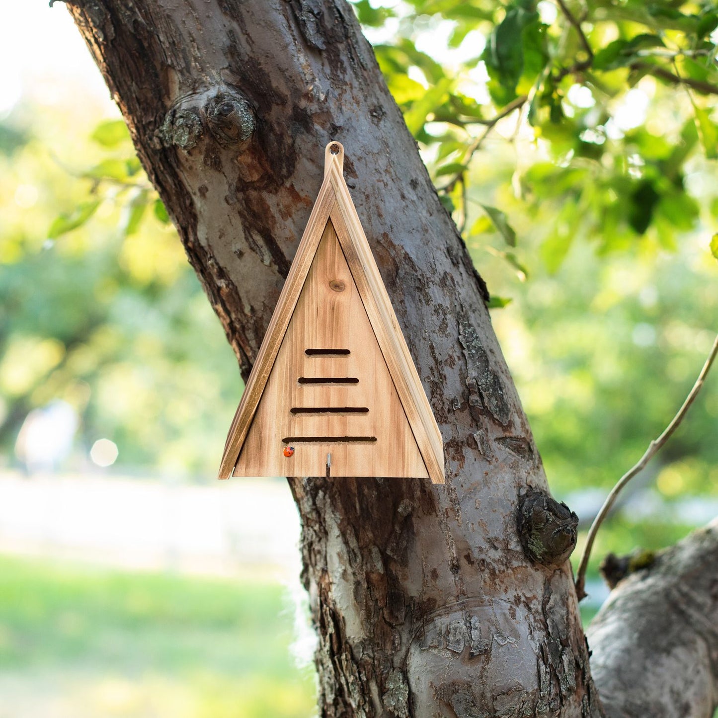 Triangular ladybug house