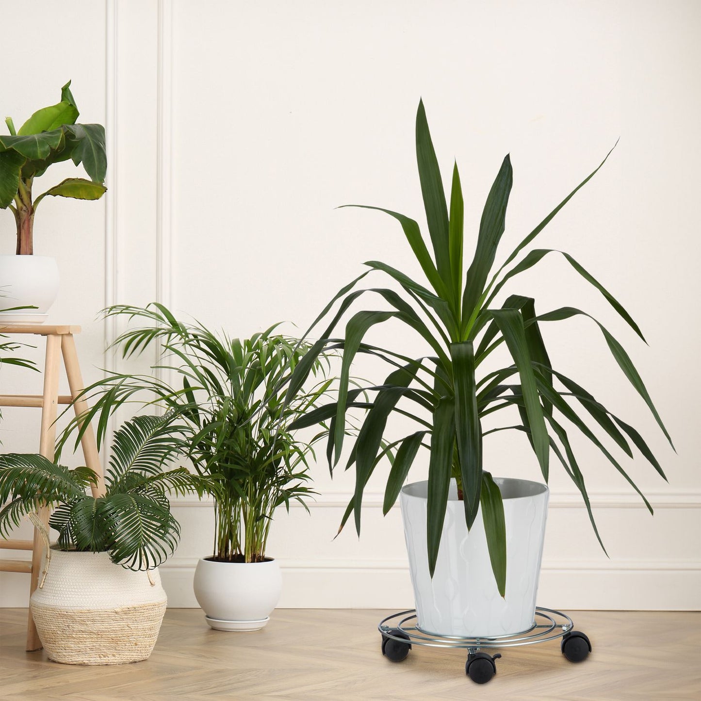 Vegetal's set of 2