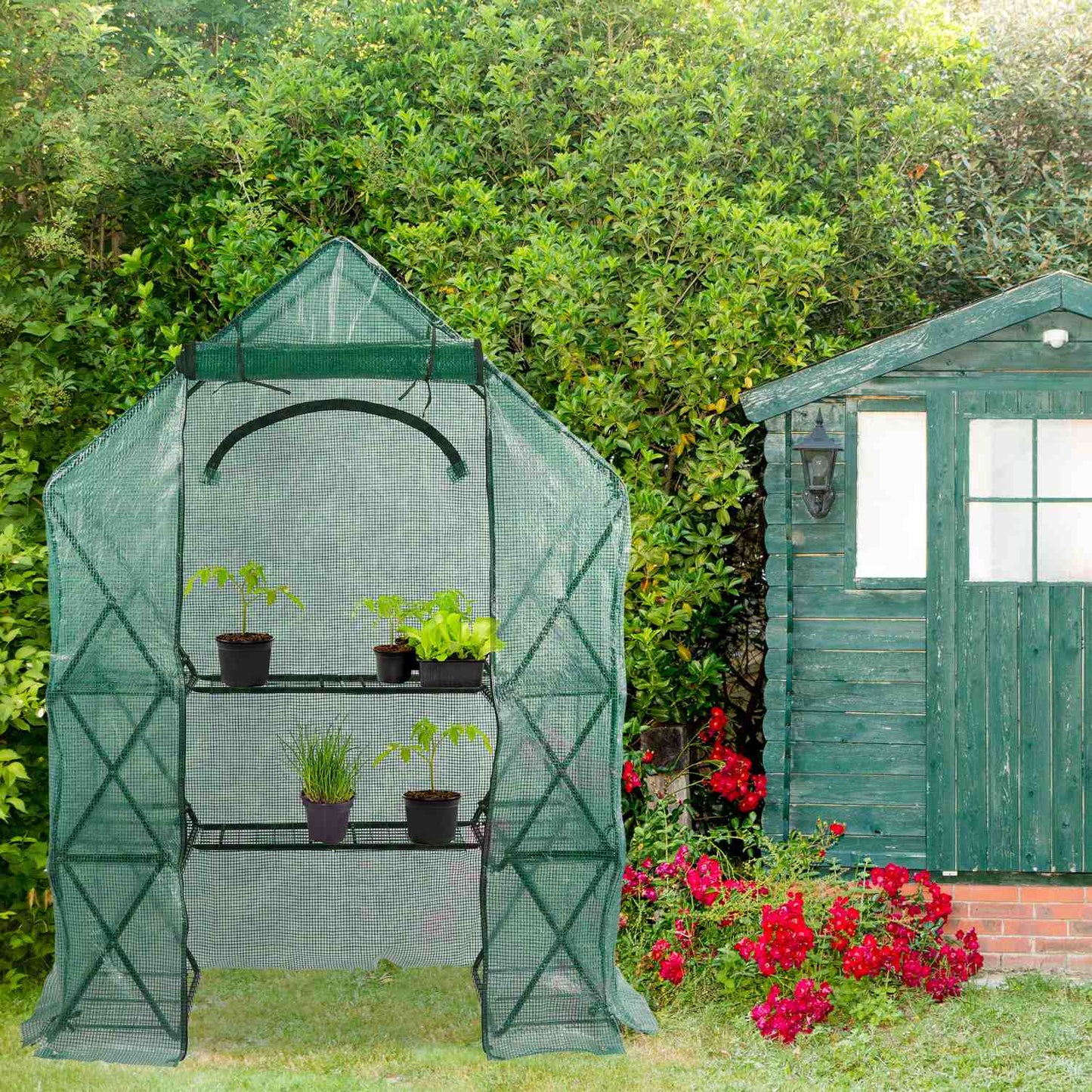 Walk-In Greenhouse