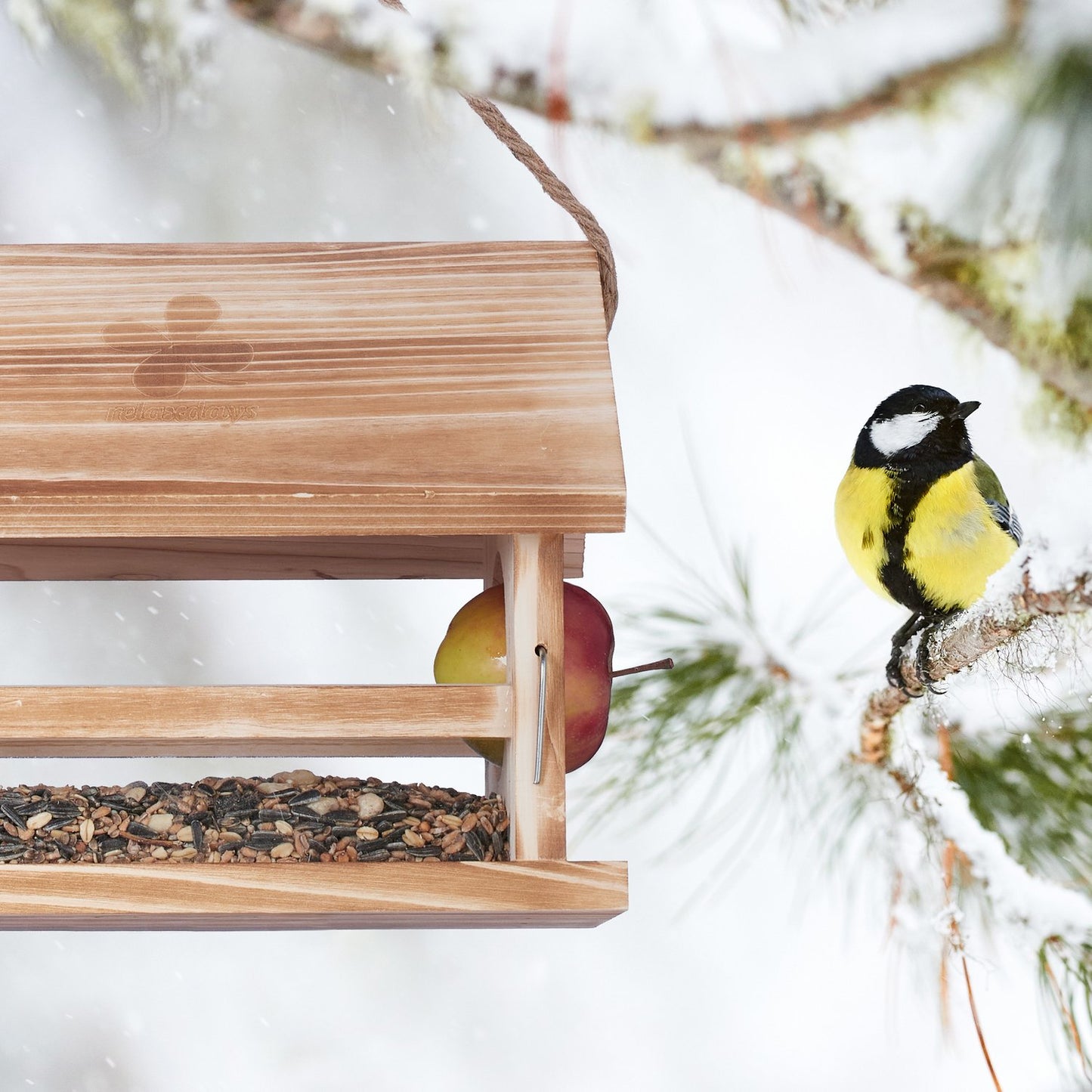 Weatherproof bird feeder
