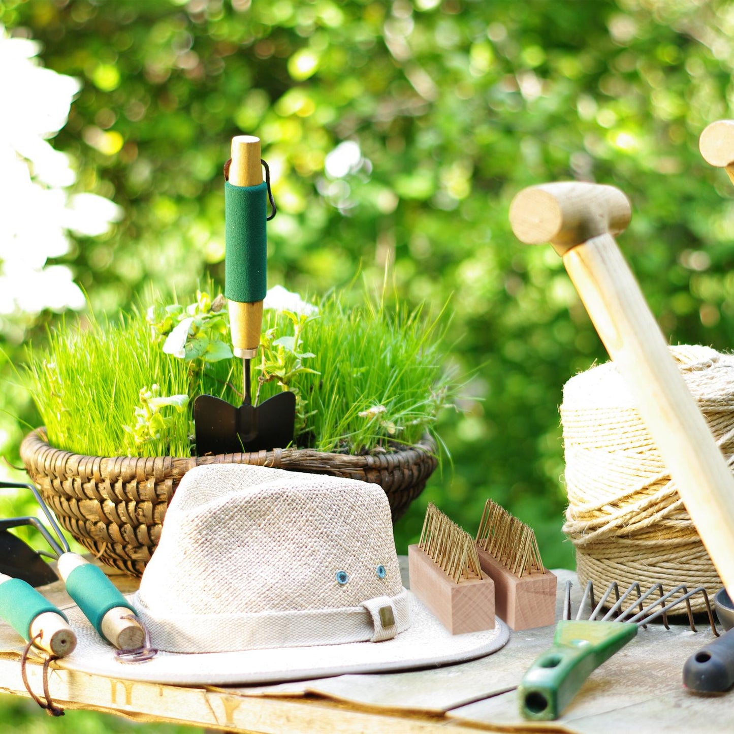 Weeding brush set of 6