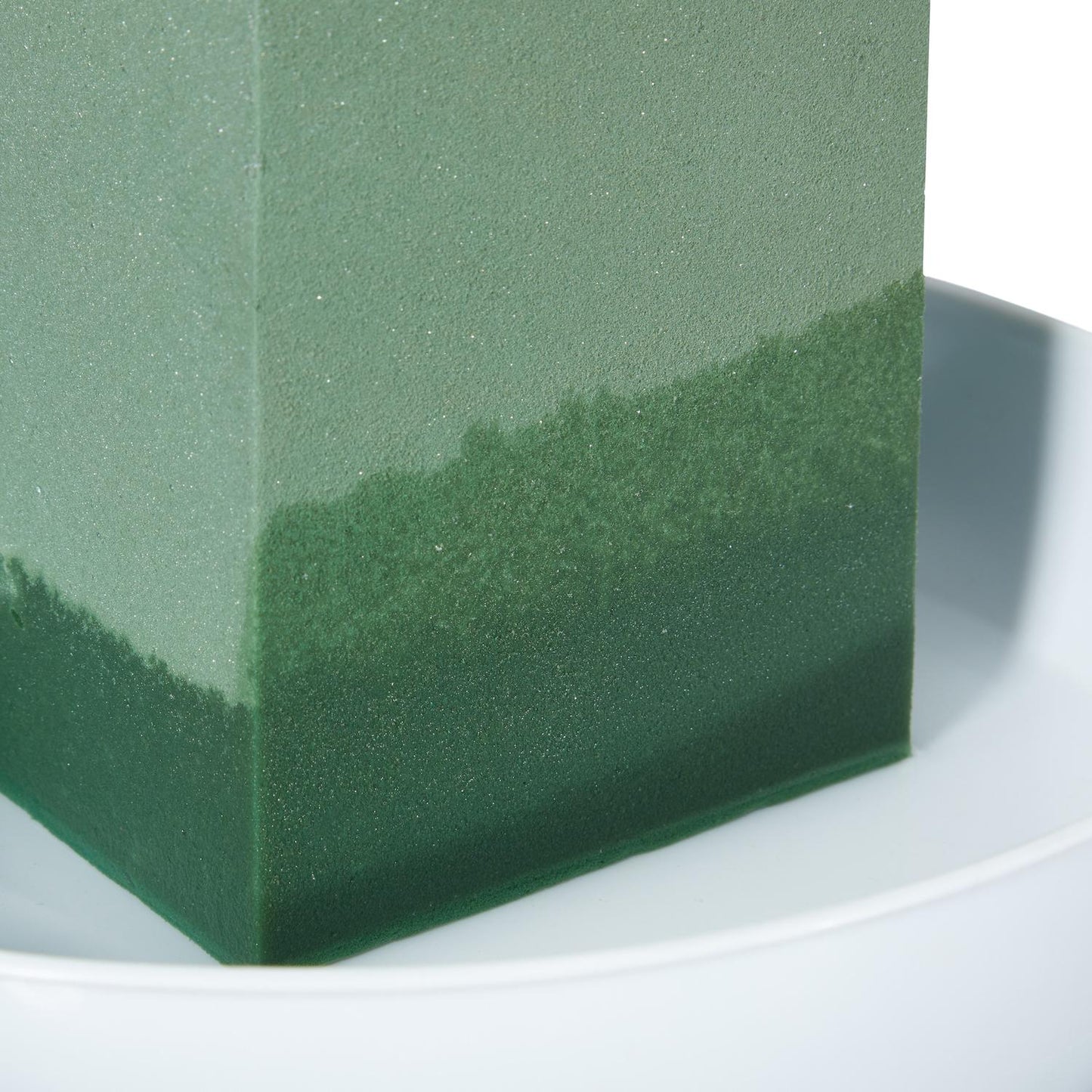 Wet Floral Foam, Pack of 3