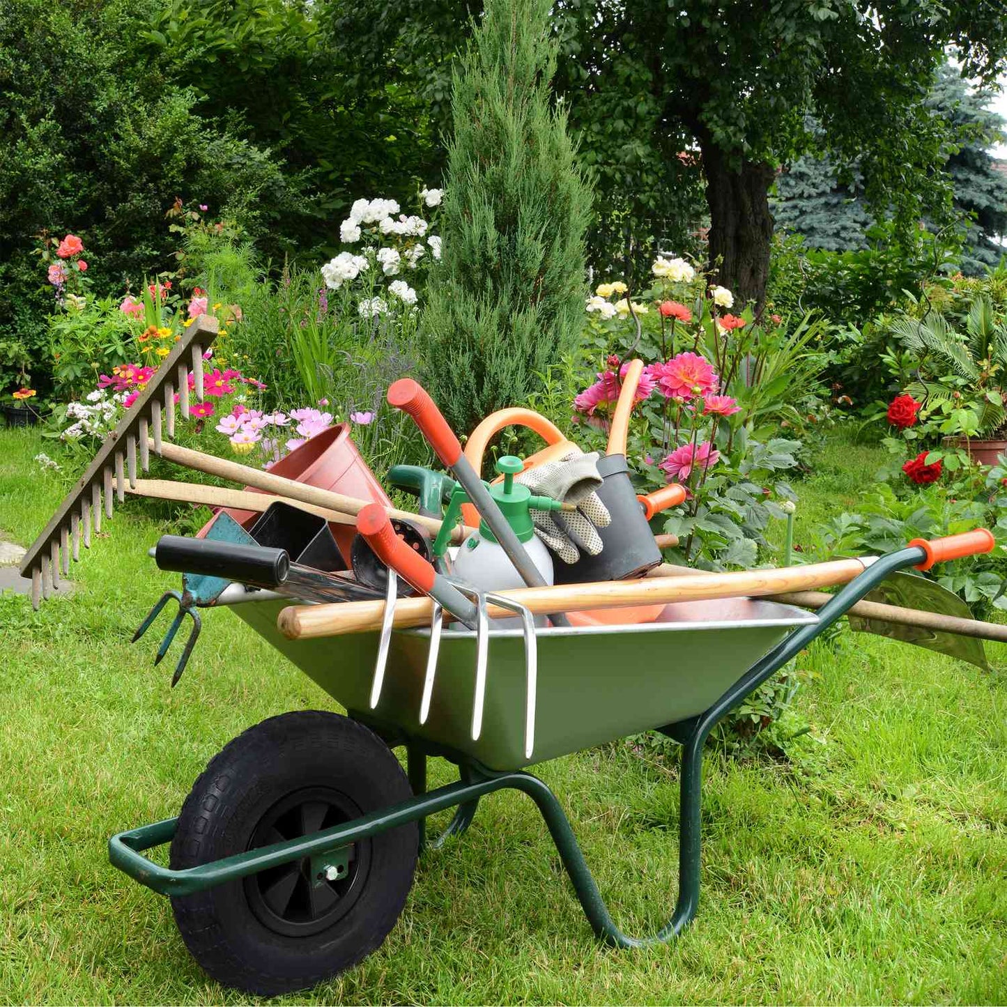 Wheelbarrow 3.50-6 with black profile