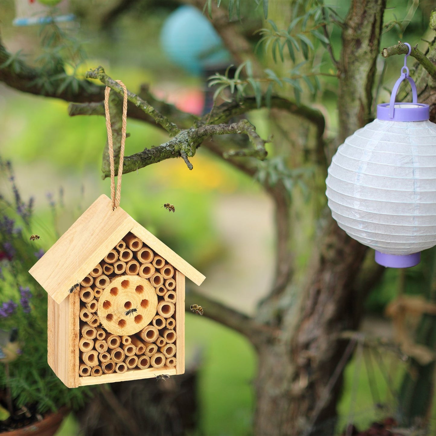 Wild Bee Insect Hotel