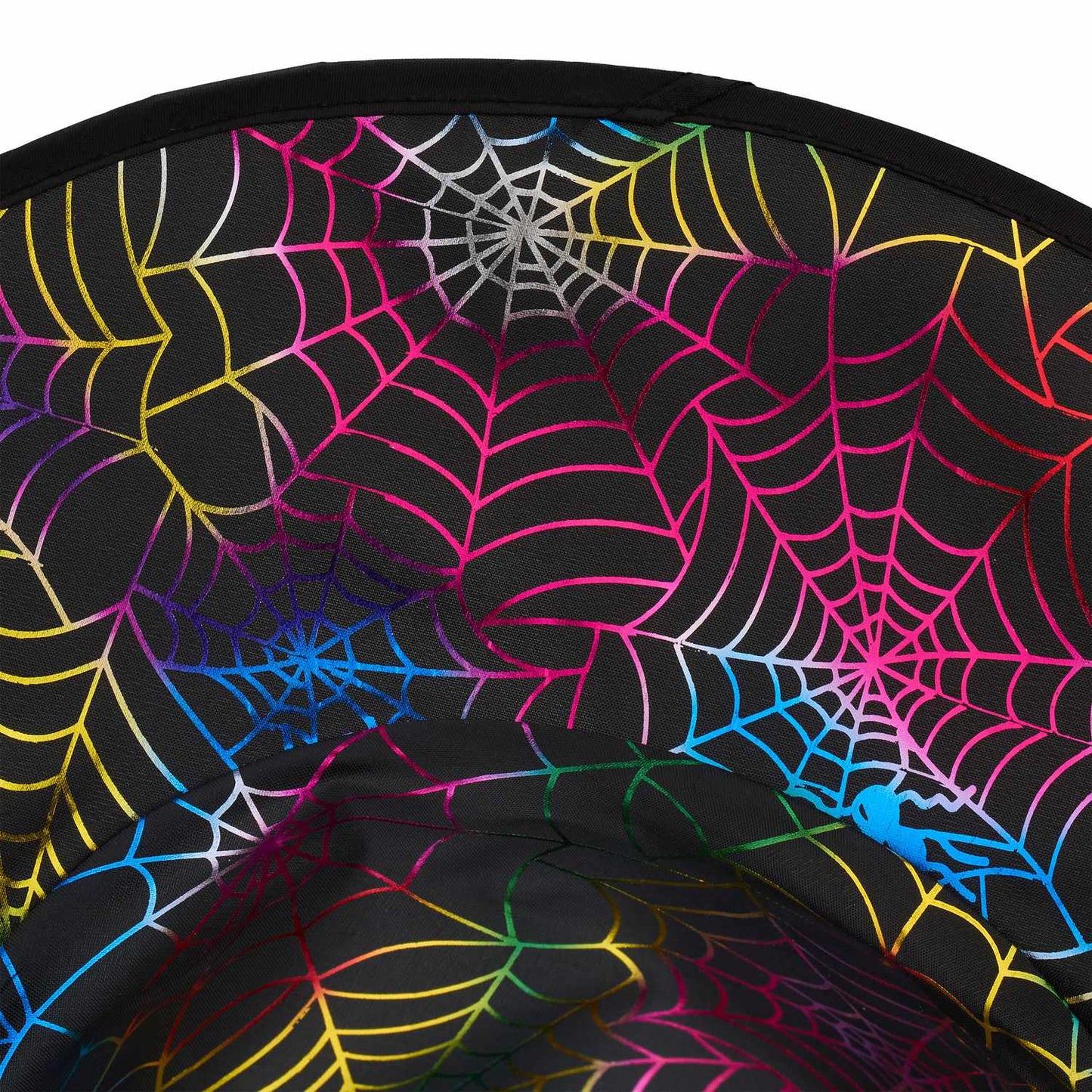 Witch's hat with cobwebs 6-pack