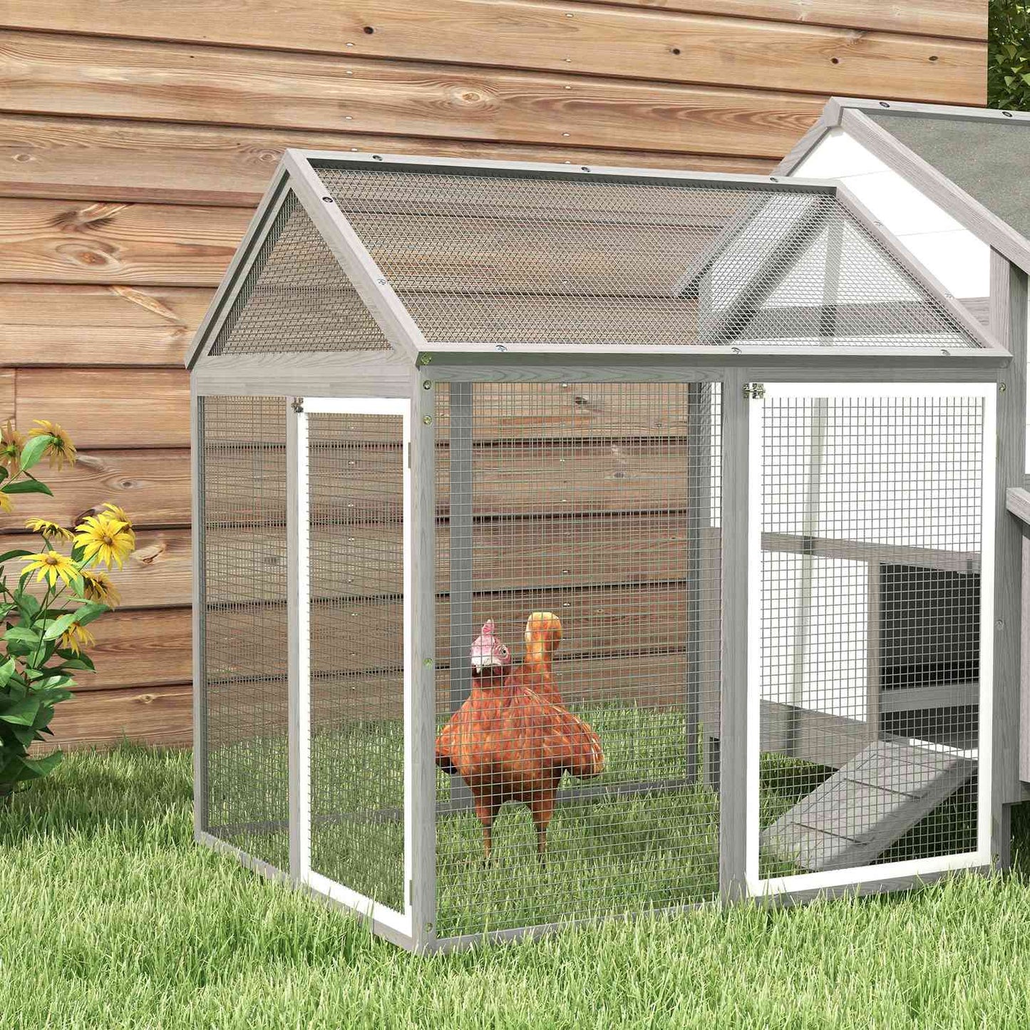 Gray wooden chicken house with nesting box and ramp