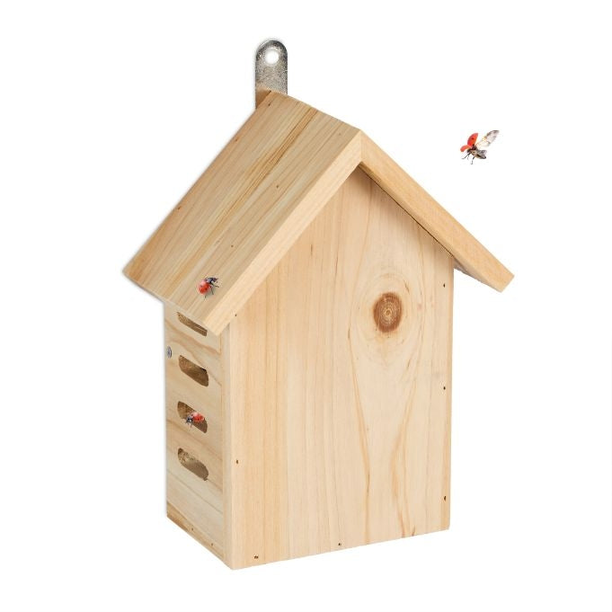 Wooden ladybug house