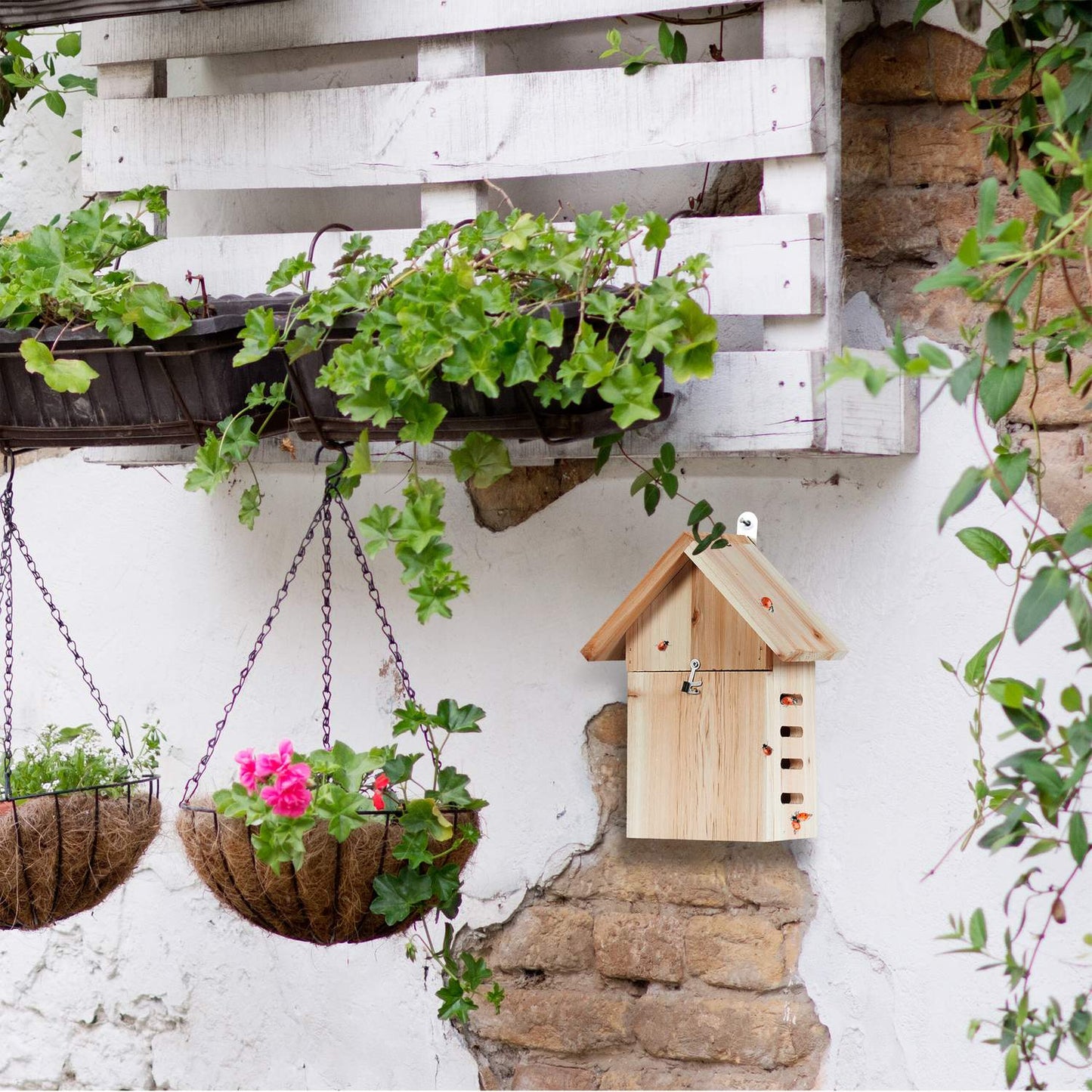 Wooden ladybug house
