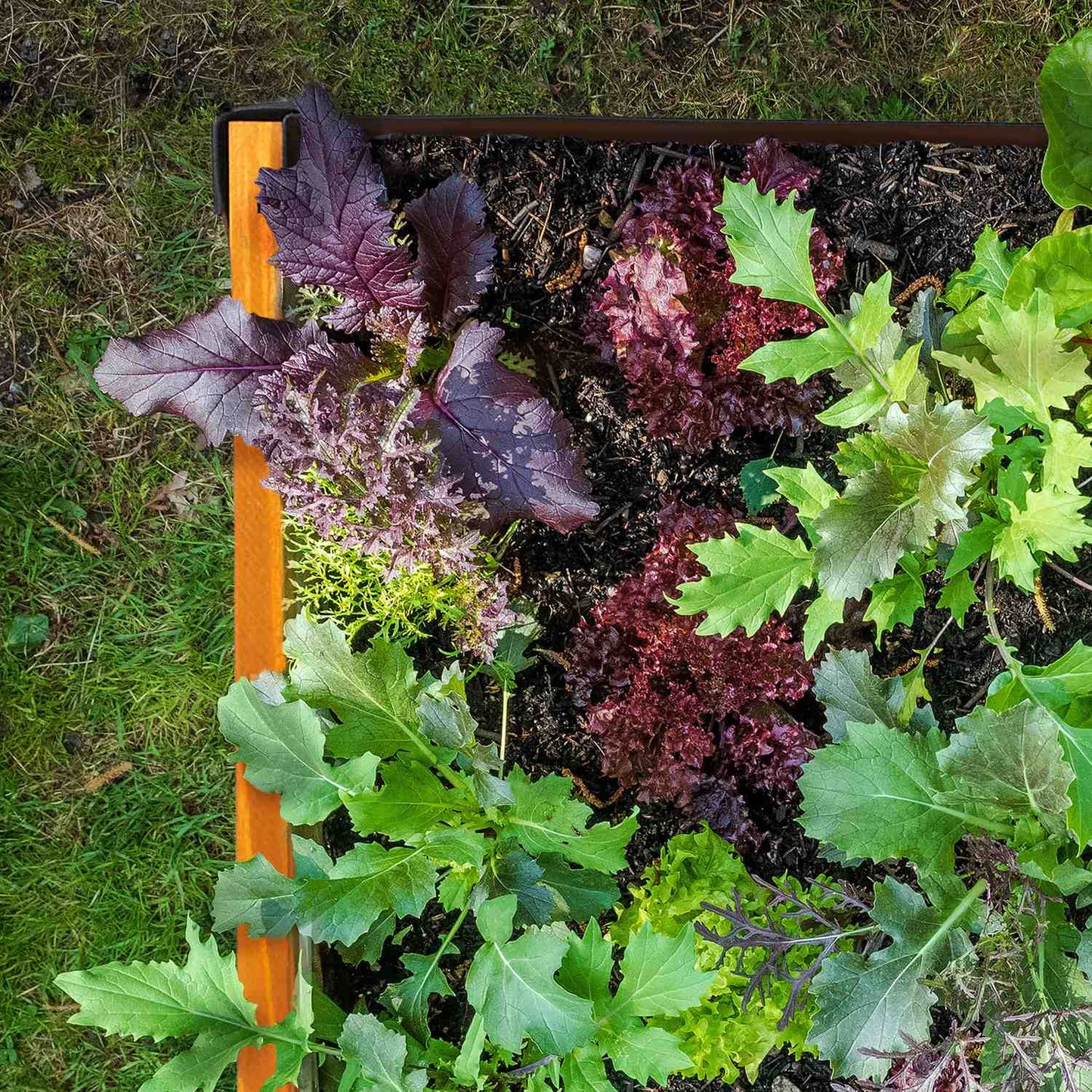 Wooden planting table