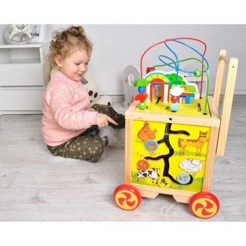 Wooden pusher - Educational cube 22606