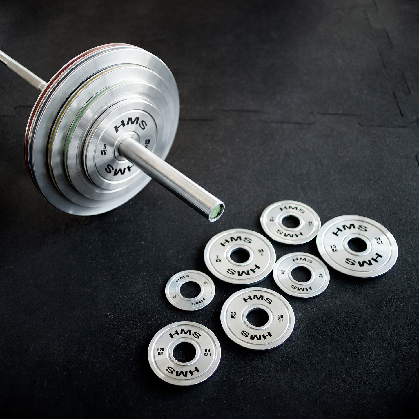10 kg Olympic Steel Weight Plate