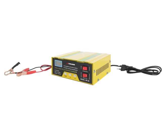 12V/24V battery charger