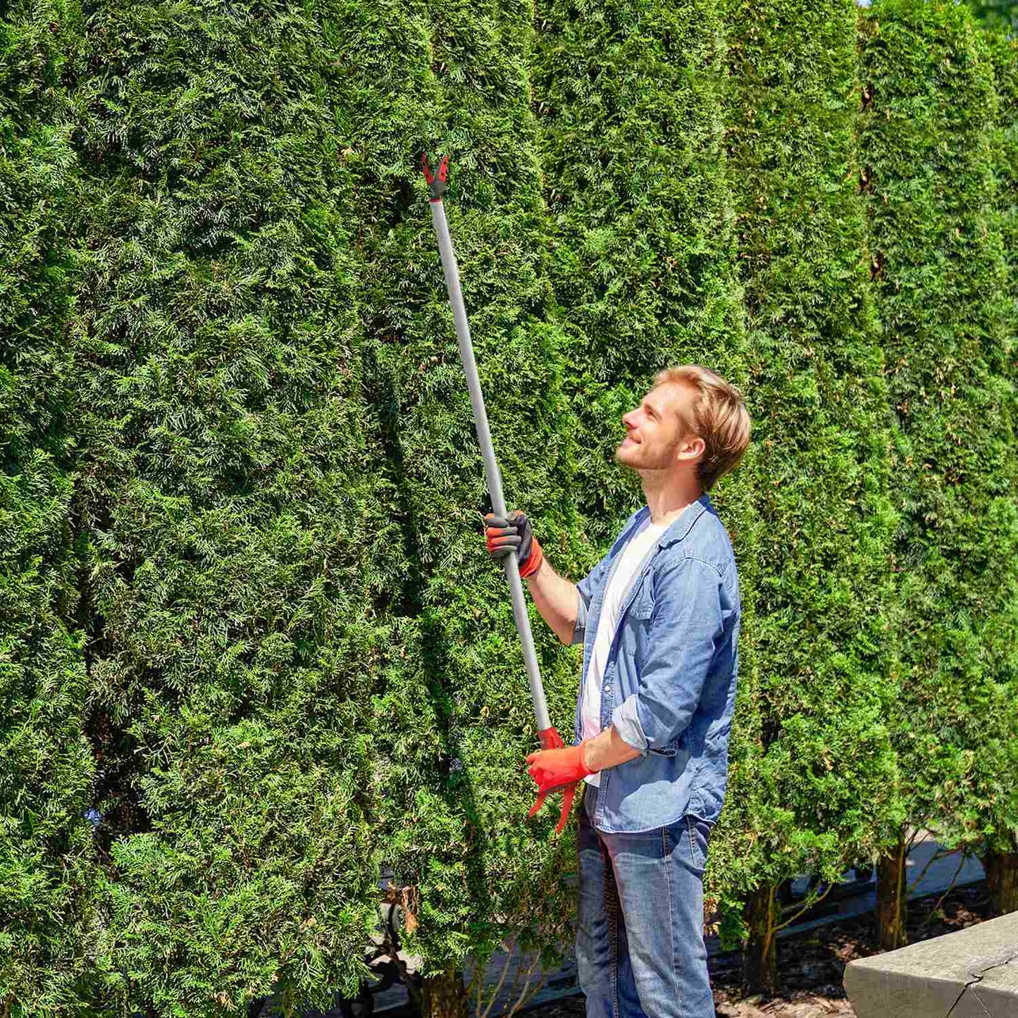 Tree Pruner, 120 cm Long, Aluminum Handle, Red