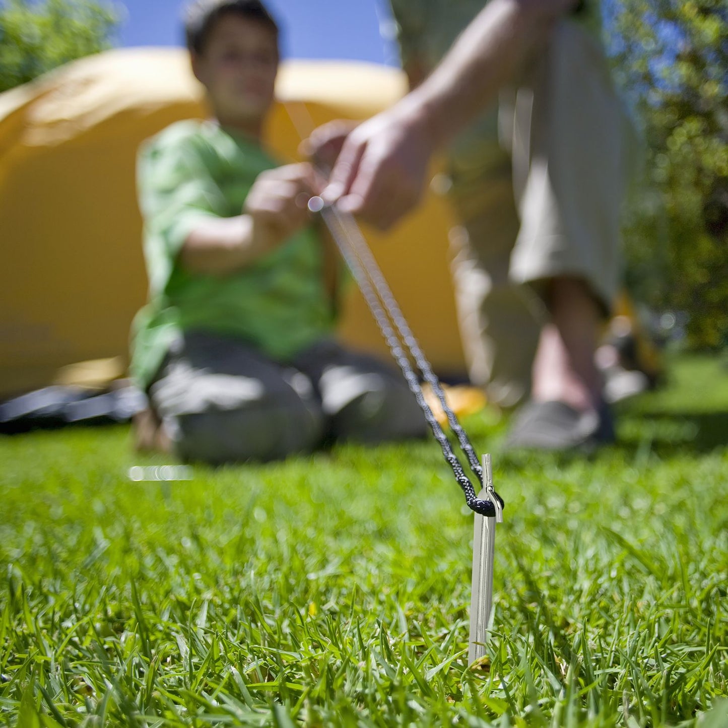 12x Set Tent Pegs