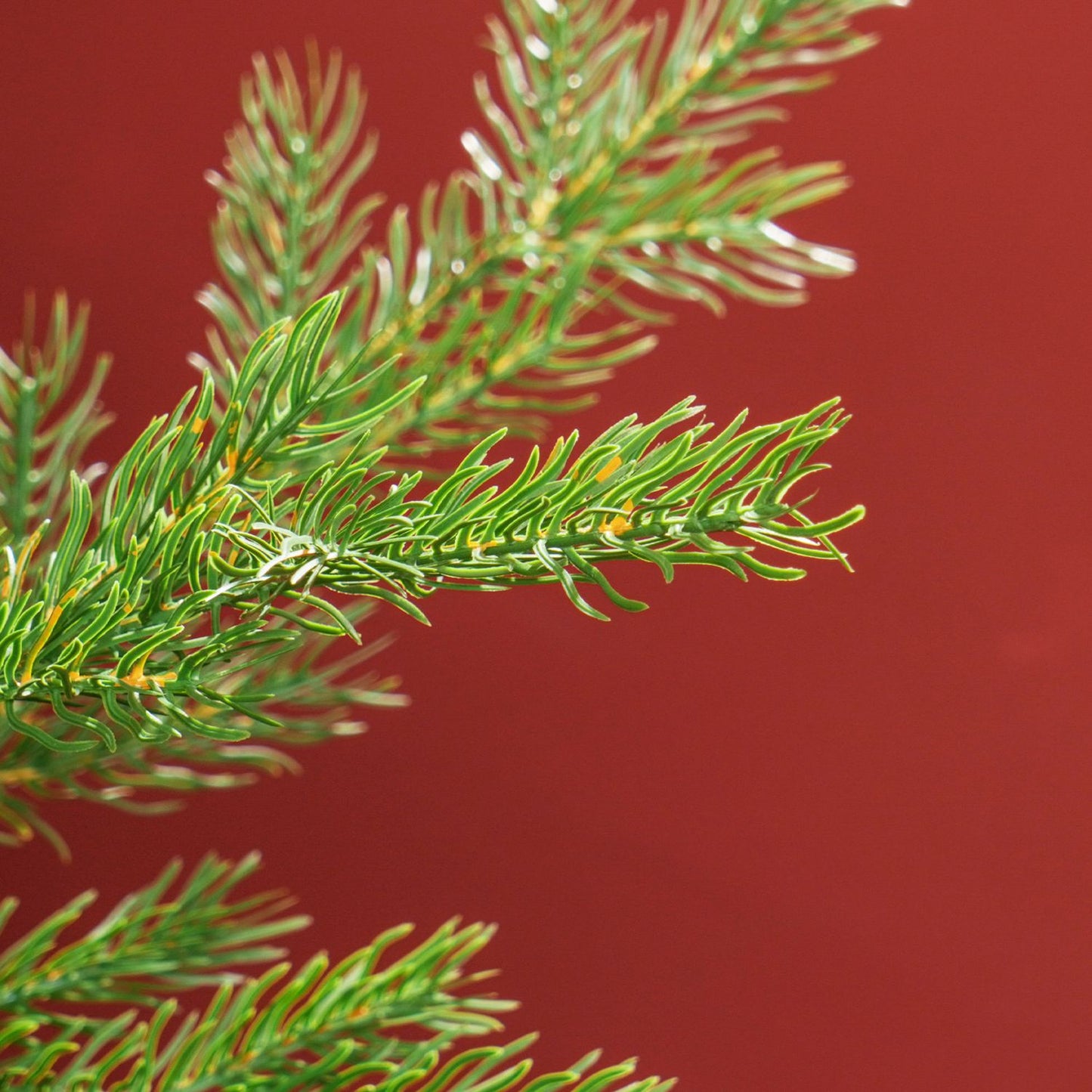 180 cm lifelike artificial Christmas tree, dense branches