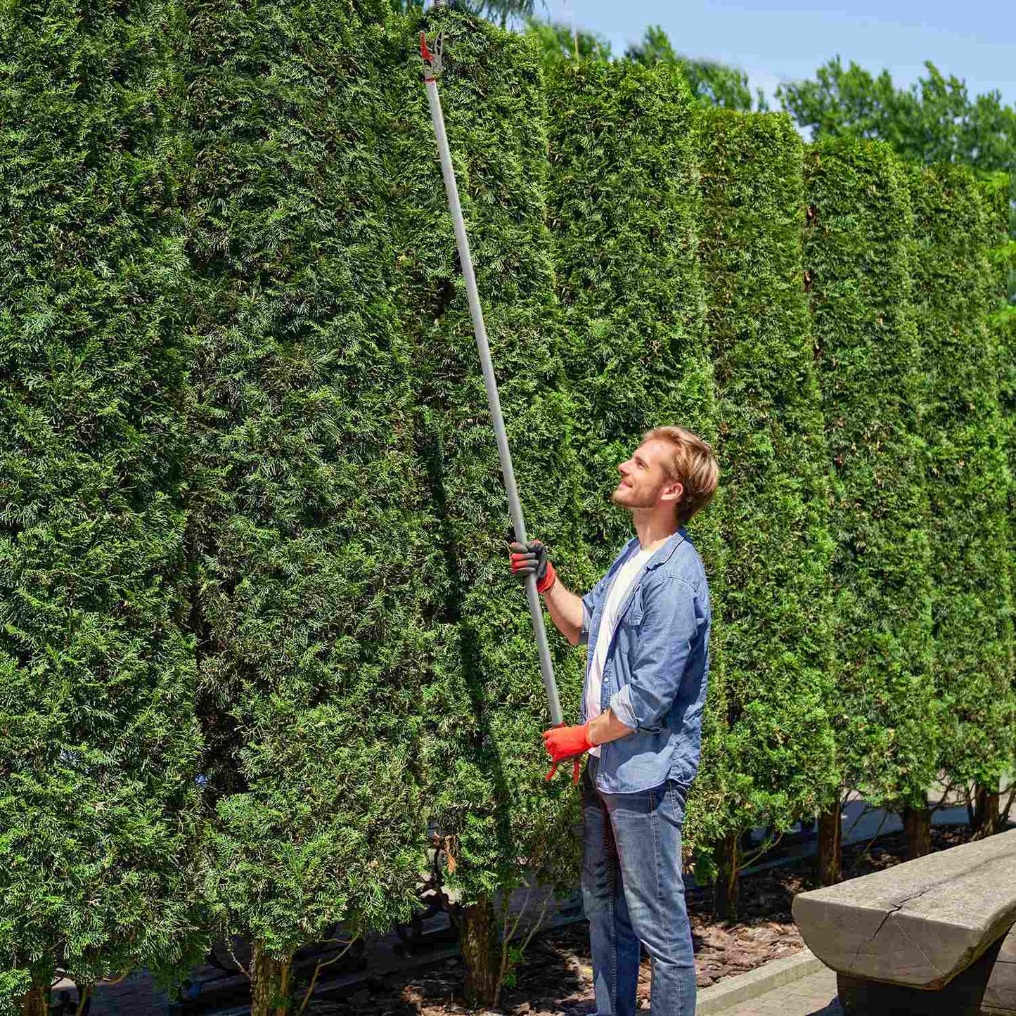 Long-Handled Tree Pruner, 180 cm, Aluminum Handle